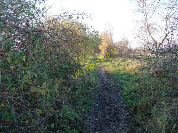 Photo 6"x4" Former railway line Castleford c2010