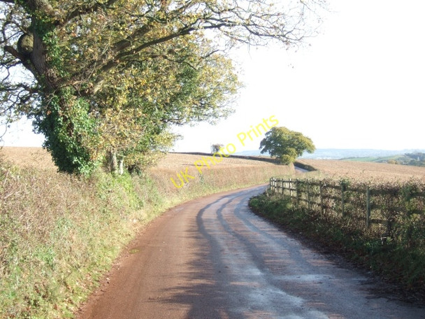 Photo 6"x4" Days Pottle Lane, near Peamore Arch Kennford c2010