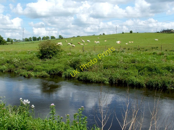 Photo 6"x4" The River Kelvin Buchley c2005