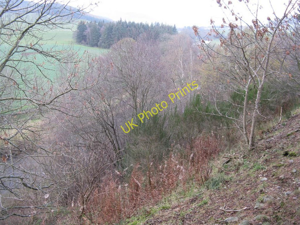 Photo 6"x4" The Tweed Valley at Sheriff Muir Hallyne c2010