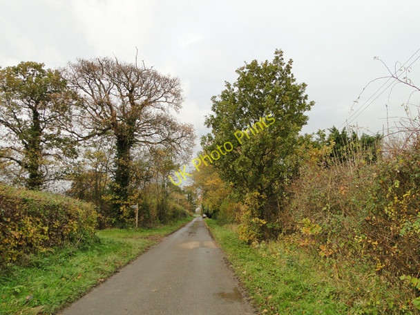 Photo 6"x4" Primrose Lane, Frostenden, Suffolk West End\/TM4683 c2010