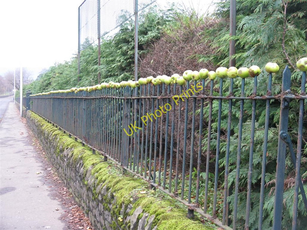 Photo 6"x4" Pommes on spikes Peebles\/NT2540 c2010