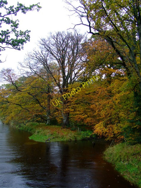 Photo 6"x4" Confluence of Kip Water and Daff Burn Inverkip c2010