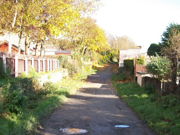 Photo 6"x4" The upper section of Derinilla Lane Dundrum\/J4036 c2010
