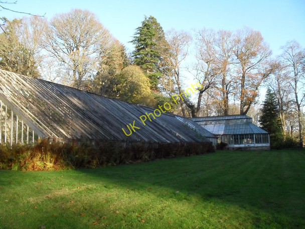 Photo 6"x4" Greenhouse at Skibo Castle Clashmore\/NH7489 c2010