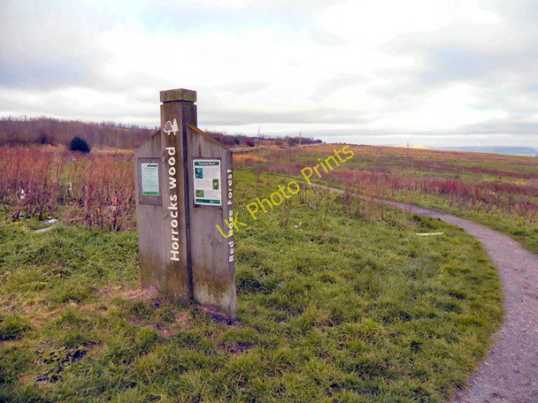 Photo 6"x4" Horrocks Woods Barrow Bridge c2010