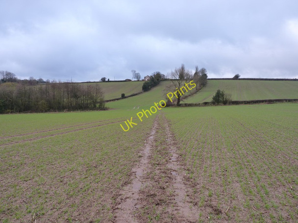Photo 6"x4" Path across a muddy field Much Wenlock c2010