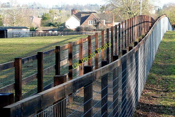 Photo 6"x4" Bridleway to Lower Shiplake Henley-on-Thames c2010