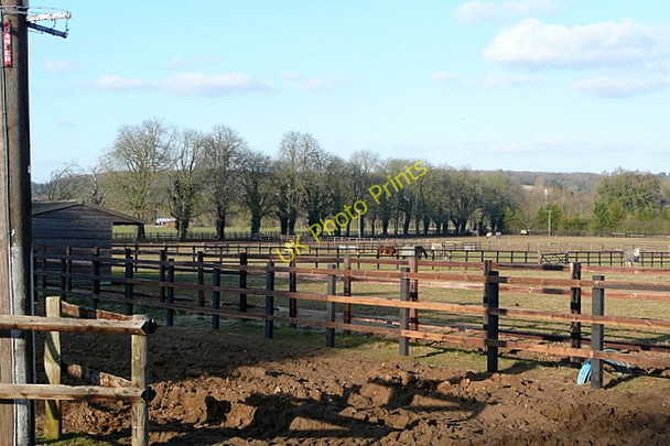 Photo 6"x4" Paddocks near Lower Shiplake Henley-on-Thames c2010