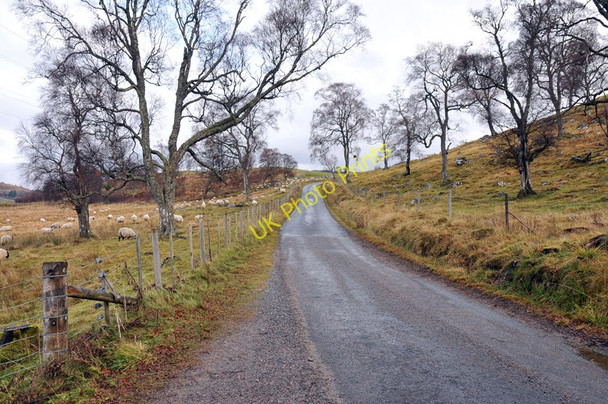 Photo 6"x4" Minor road near Easter Breakachy Balgowan\/NN6394 c2010