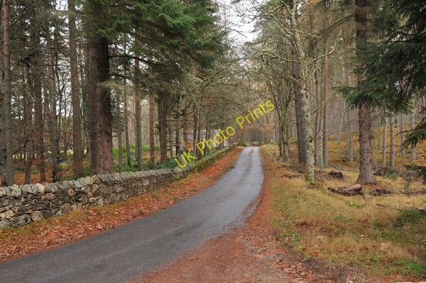 Photo 6"x4" Minor road near Glentruim Mains Etteridge c2010