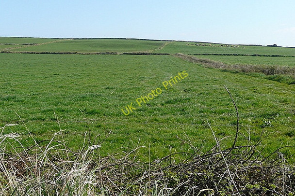 Photo 6"x4" Farmland near Kilcloher Kilbaha c2010