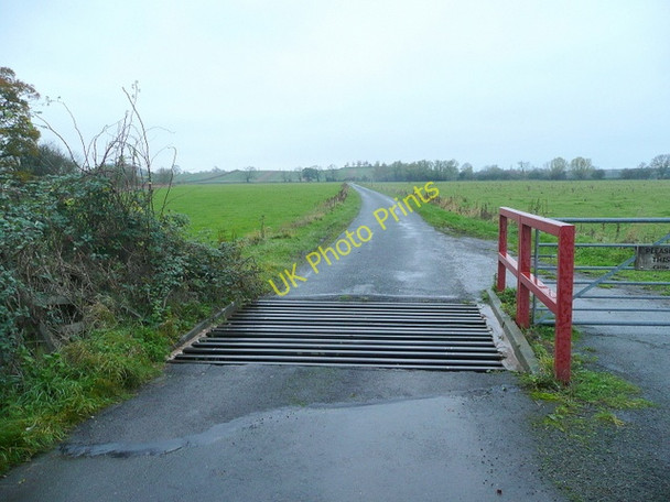 Photo 6"x4" Cattle grid at Hardwick Green Hardwick Green c2010