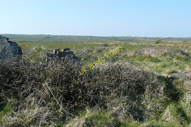 Photo 6"x4" Poor land at Rehy West Cross\/Q7951 c2010