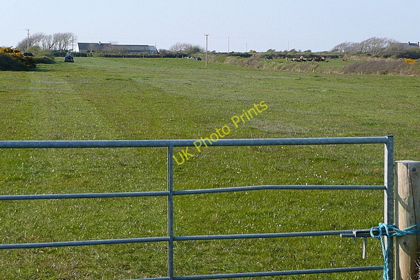 Photo 6"x4" Pasture at Kilcredaun Carrigaholt c2010