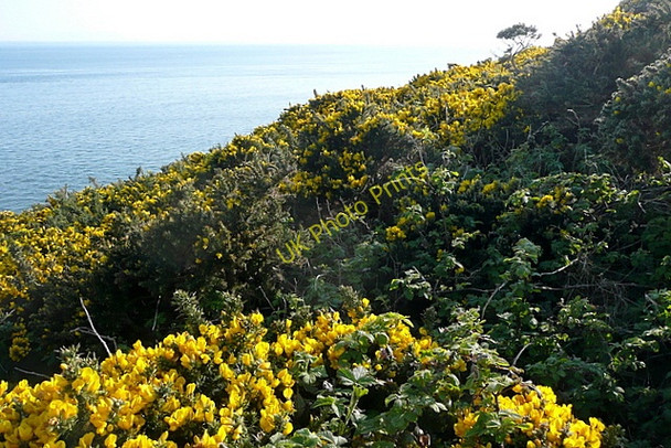 Photo 6"x4" Coast at Kilcredaun Carrigaholt c2010