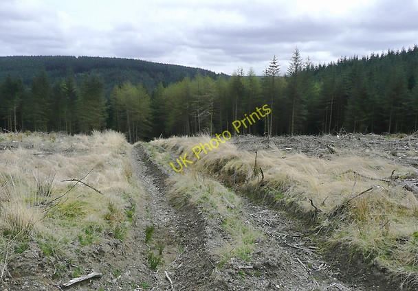 Photo 6"x4" Tywi Forest track on Cnwch Rhiwhalog, Ceredigion Cnwch Rhiwhalog c2010