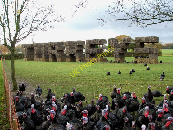 Photo 6"x4" Turkey Advert Brock Hill\/TQ7396 c2010