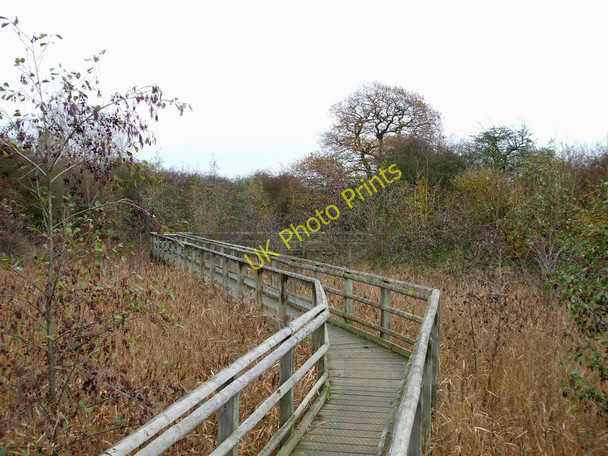 Photo 6"x4" Walkway, Wick Country Park Wickford c2010