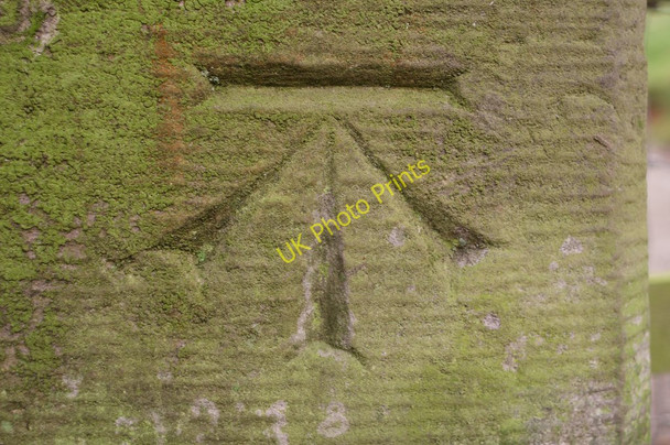 Photo 6"x4" Cut Bench Mark (close-up) Danebank c2010