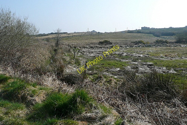 Photo 6"x4" Grazing land at Cloonskina Inagh c2010