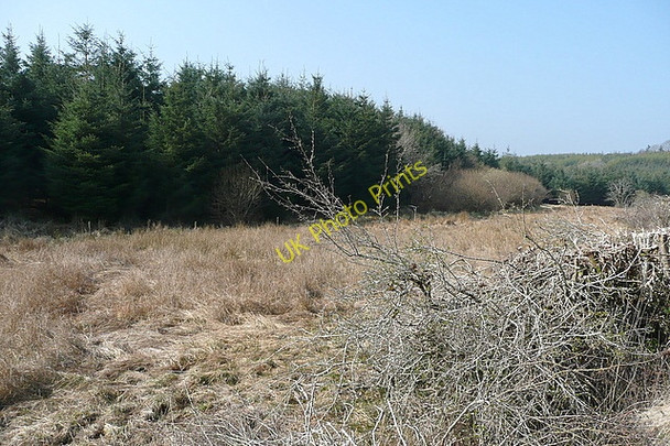 Photo 6"x4" Rough land at Loughburke Connolly c2010