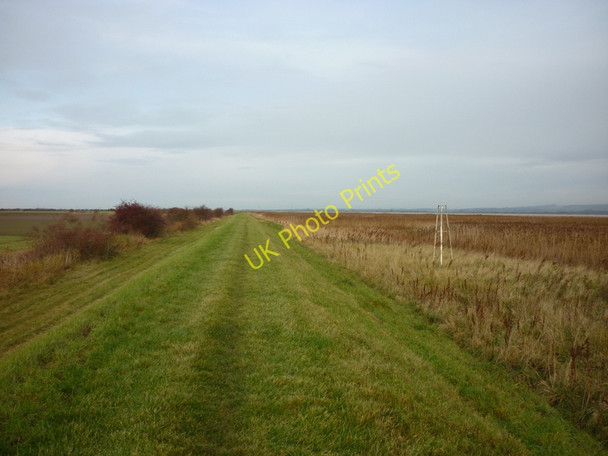 Photo 6"x4" South bank of the River Humber Winteringham c2010