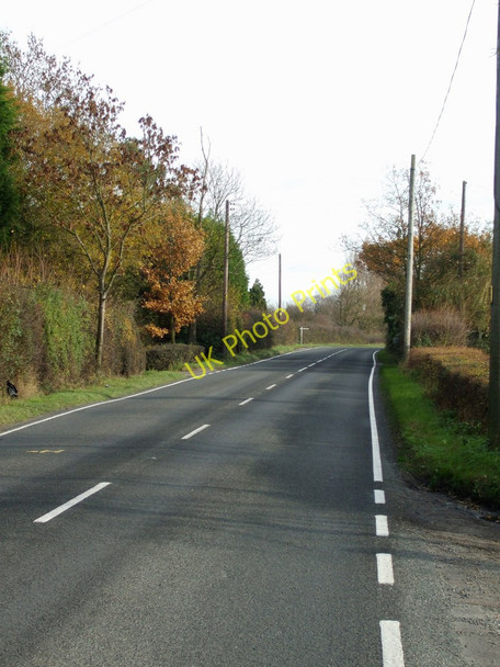Photo 6"x4" B1018 looking East Roundbush\/TL8501 c2010
