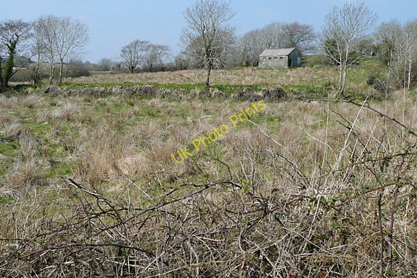 Photo 6"x4" Rough grazing at Gortaganniv Kilmaley c2010