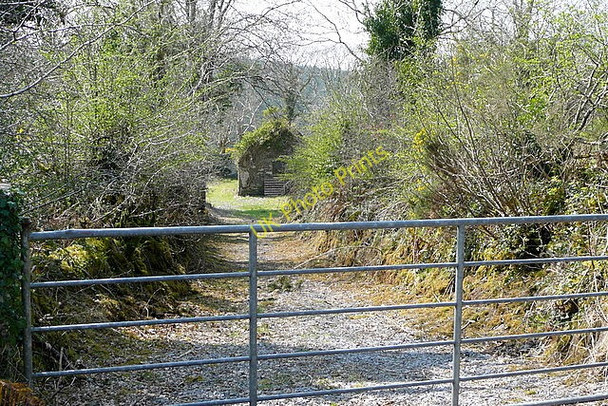 Photo 6"x4" Track at Knockadangan Kilmaley c2010