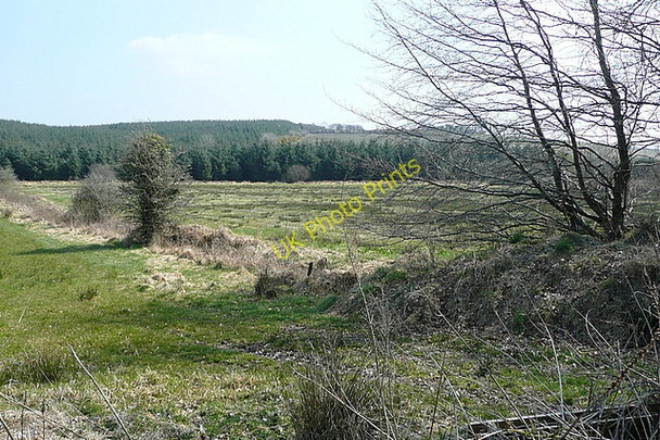 Photo 6"x4" Land at Ballyillaun Kilmaley c2010