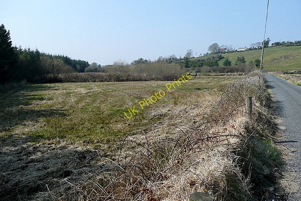 Photo 6"x4" Rough grazing at Derrynacarragh Connolly c2010 P1
