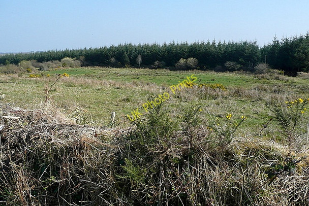 Photo 6"x4" Rough grazing at Kilcolumb Connolly c2010