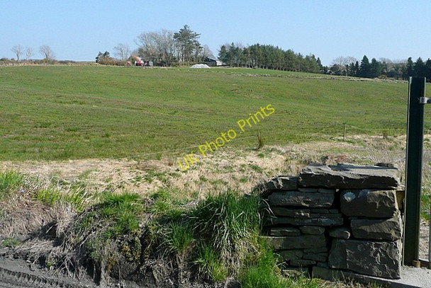 Photo 6"x4" Pasture at Sheeaun Kilmaley c2010