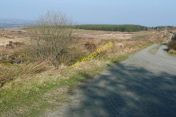 Photo 6"x4" Track from Ben Dash Connolly c2010