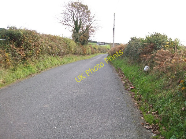 Photo 6"x4" View south along the Dromara Road Dundrum\/J4036 c2010
