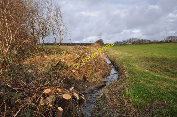 Photo 6"x4" The river Caen descending from its source on Frog Moor Bittadon c2010