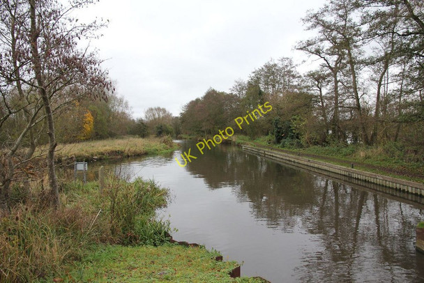 Photo 6"x4" Kennet from the lock Sheffield Bottom c2010