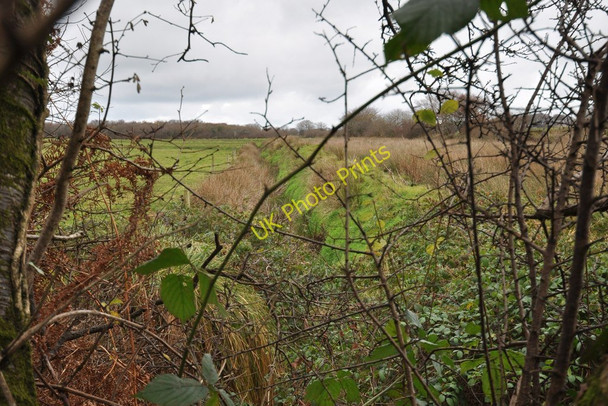 Photo 6"x4" A stream which runs parallel to the river Caen on Frog Moor Two Pots c2010