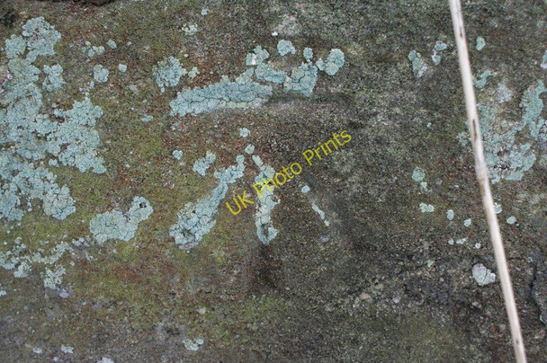 Photo 6"x4" Cut Bench Mark (close-up) Stainburn\/SE2448 c2010