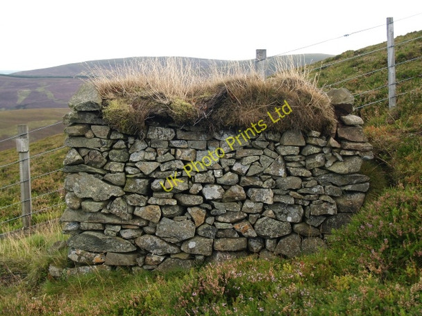 Photo 6"x4" Grouse butt, Preston Law Hundleshope c2006