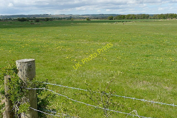 Photo 6"x4" Pasture at Islandavanna Lower Derragh c2010