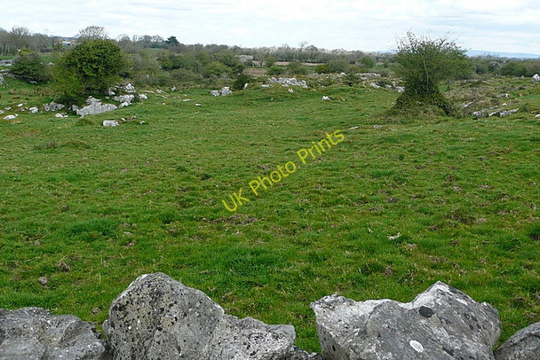 Photo 6"x4" Pasture at Craggykerrivan Derragh c2010