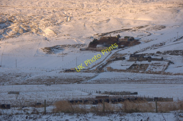 Photo 6"x4" Valyie, Norwick, in the snow Kirkaton c2010