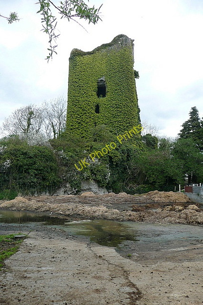 Photo 6"x4" Dangan Castle Ballynacally c2010 P1