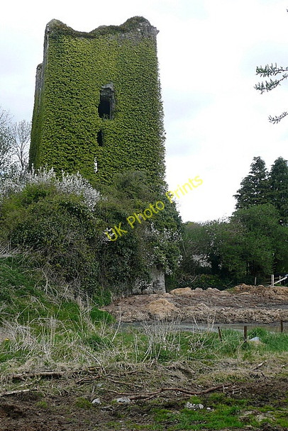 Photo 6"x4" Dangan Castle Ballynacally c2010 P1