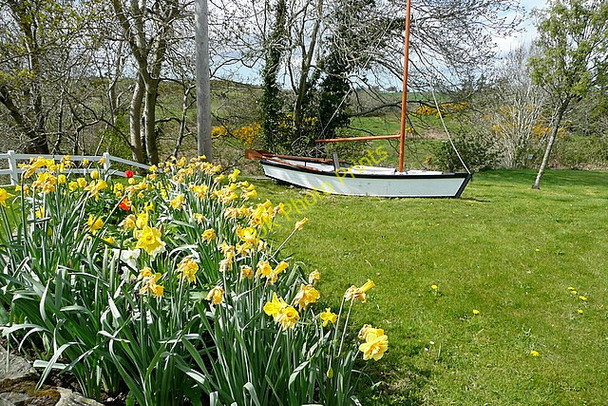 Photo 6"x4" Park at Ballynacally Ballynacally c2010