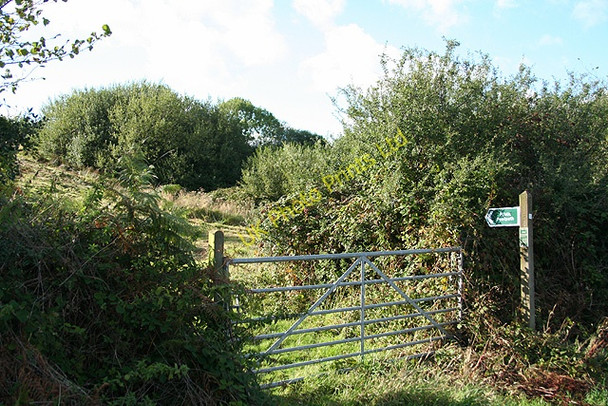 Photo 6"x4" Yarcombe: footpath to North Common Bishopswood c2006