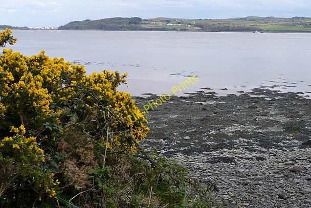Photo 6"x4" Shannon estuary at Shannakea Foynes c2010