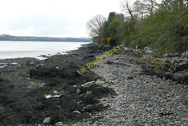 Photo 6"x4" Shoreline at Shannakea Loghill c2010